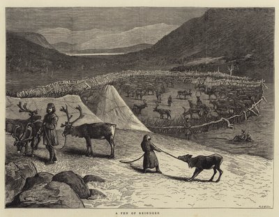 驯鹿笔 作者 塞缪尔·埃德蒙·沃勒